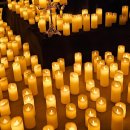 캔들라이트 홀리데이 이미지