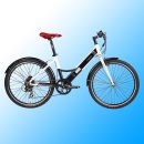 B.S 태양광발전소 | 알톤 시티 (ALTON CITY) 전기 자전거 SM-3696 B 배터리 재생, 보조 배터리 추가 장착