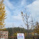 론볼경기장 | 전국장애인체전 론볼 관람 후기