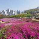 광활동산공원 티스토리