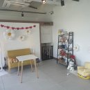 도그투게더(Dog together) 이미지