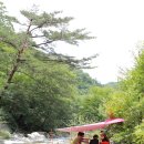 누리삼마을