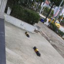 맘스터치안양관악역점 이미지