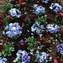 K&K서울치과의원 | 이게 바로 K구강관리의 정석인가 봅니다