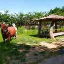 초가정원 이미지