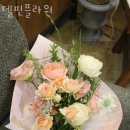 델핀플라워 이미지