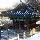 오대남 충신각 이미지