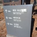 곡성-029 티스토리