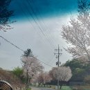 쉬멍 놀멍 자멍 이미지