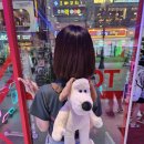 엑스탑오락실 이미지