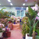 대동화원 이미지