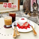 [경주] 카페 추천 보문단지 수플레 맛집 ‘카페 구릉’ 솔직 후기