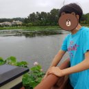 집요한사람들 이미지