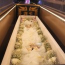 이동마을경로당 이미지