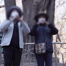 온노리 이미지