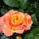 을지아파트 상가 이미지