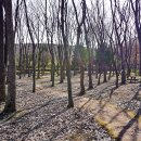 유니온파크 이미지