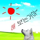 한강외과의원 | 압구정 디자이너성형외과, 짝짝이 눈 탈출한 한쪽만 쌍수 재수술 찐후기 내돈내짼