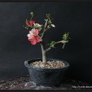 신동-63 이미지
