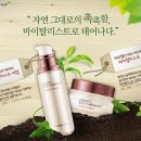 보떼NC