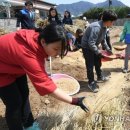 연합왕겨 이미지