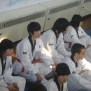 대건태권도 이미지