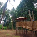 계룡산유아숲체험원 이미지