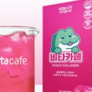 비타카페 네이버블로그