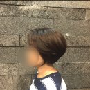 컷컷트