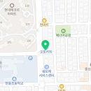 전주강아지분양 미니퍼피 가정견사 직영 이미지