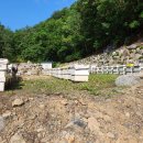 토종꿀효능 이미지