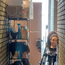 스너그라운드 이미지