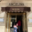 안젤리나 - 양주시 고읍남로 5-20 | 프랑스 파리 디저트 맛집 안젤리나 Angelina 웨이팅 없이 방문 후기