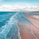 신항만 반점 이미지