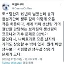 기후위기로 인해 생두값 폭등하고 있음 이미지