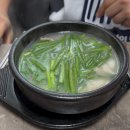 [용호동돼지국밥] 7000원으로 이 퀄리티 가능? | 소면까지 주는 ‘원조합천돼지국밥’ 솔직후기