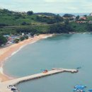 썸웨일즈펜션 이미지