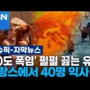 '40도 넘는 폭염' 펄펄 끓는 유럽…프랑스에서 40명 익사 이미지