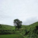 원산목장 이미지