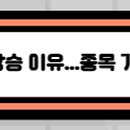 에스인베스트먼트플랜