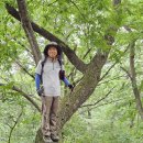 대전둘레산길(3구간) 이미지