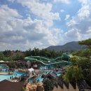 스플라스리솜 이미지