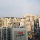 대전(동) 이미지