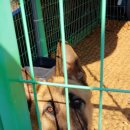 지세포중학교 이미지