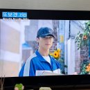 티비엔 월화 드라마 선재 업고 튀어 변우석 김혜윤 그리고 위버스 디엠 답장