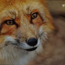 근린공원 35호 배드민턴장 | [서울 강남 가볼만 한 곳,데이트 장소 추천] 청담근린공원 청담근린공원, 도심 속 힐링 공간