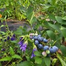 우석농장(2농장) 이미지