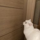 복둥이밥상 이미지