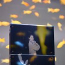 코코사진관 - 원주시 천매봉길 17 | 코코사진관