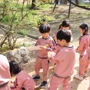 [4월 3주] 믿음반의 영휘원 야외활동 이미지